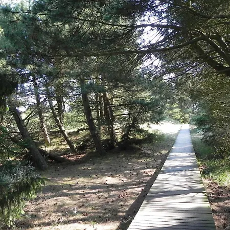 Haus Therese *fewo 12* *